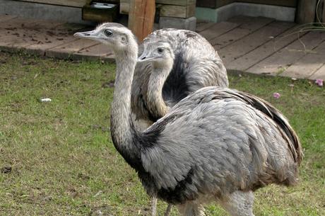 Una tranquila mirada