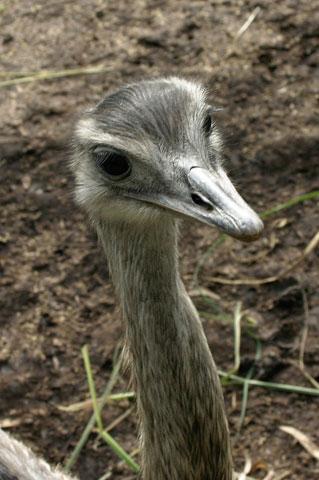 Una tranquila mirada