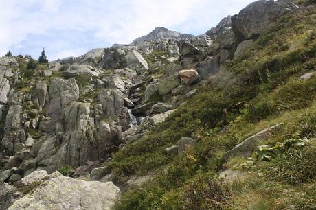 Punta Alta de Comalesbienes (3014 mt) Ascensión Circular