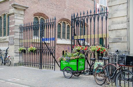 Leiden university, Holland