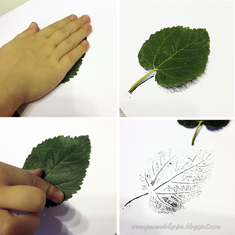Pasos para estampar hojas
