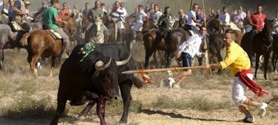 Rompesuelas divide a Tordesillas.