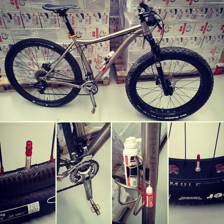 11826055_894338000615614_7092266483723028335_n