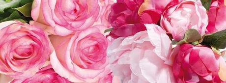 El otoño con JEANNE EN PROVENCE huele a rosas