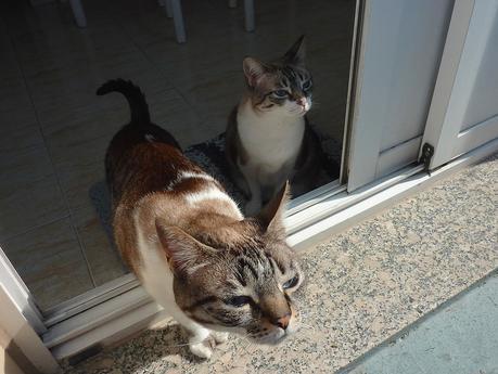 +cata & toñita_9_20150607 - Version 2