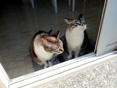 cata & toñita_5_20150607 - Version 2