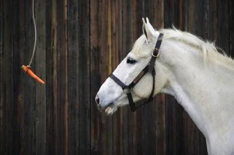 Cómo Permanecer Motivado