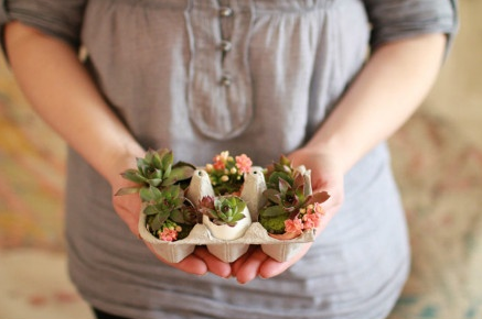 Mini-Garden...(DIY) Sencillo y casero