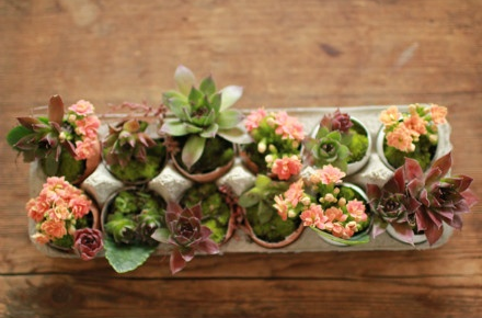 Mini-Garden...(DIY) Sencillo y casero