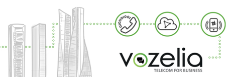 Servicios VoIP para empresas con Vozelia