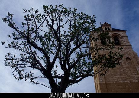 san isidoro leon