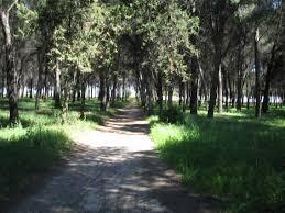 POR AQUELLAS SENDAS...