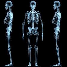 huedesos4 Consejos para cuidar la salud de los huesos de niños y adultos 