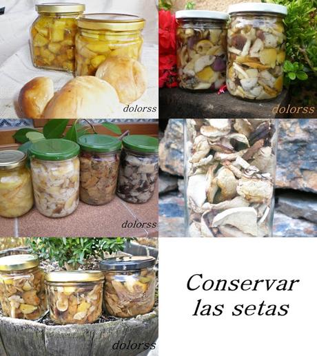 Cómo conservar las setas y recopilatorio