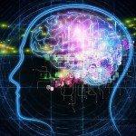 Técnicas cerebrales