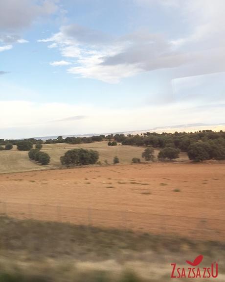 Una temporada más en MOMAD