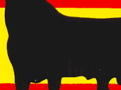 español... ¿qué toro quieres mate?