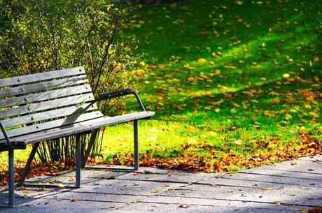 La alimentación en el Verano tardío Optimized-wood-bench-241005_1280