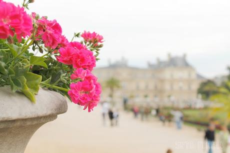 Vacaciones en París. Parte II.