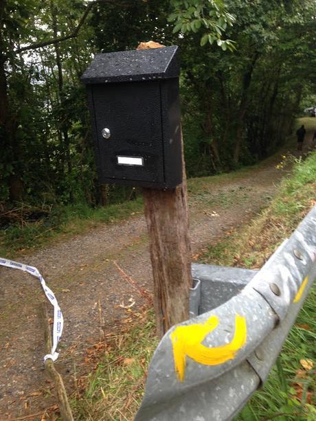 Camin a Cuadonga por Eva Rogado