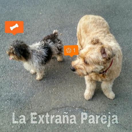 Estamos tan agustito