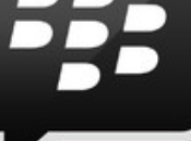 para iPhone actualiza TestFlight soporte