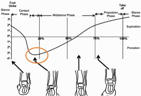 Pronacion fase pisada