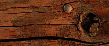 Pablito clavó un clavito tablon-madera-clavos