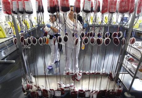 NO A LA DONACIÓN DE SANGRE POR LOS HOMOSEXUALES