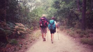 CONSEJOS PARA HACER EL CAMINO DE SANTIAGO.