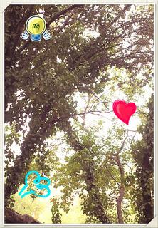 Detrás de las formas