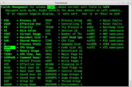 Como saber en que procesador o núcleo esta corriendo un proceso