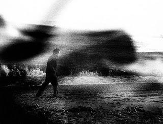 Aquí en la cloaca...