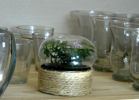 Casi un terrario DIY