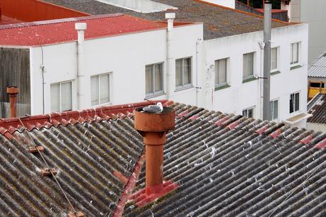 vistas_7_20150721 - Version 2