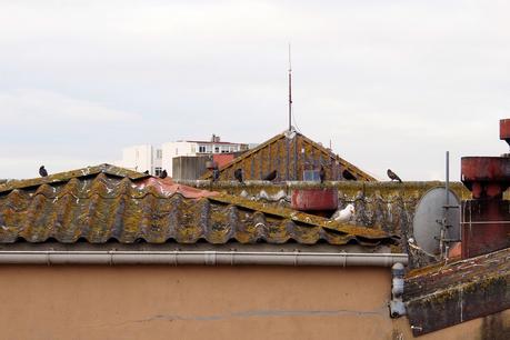 vistas_8_20150721 - Version 2