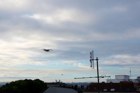 vistas_5_20150721 - Version 2