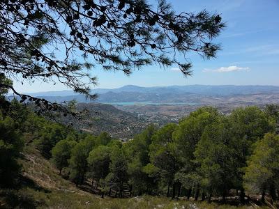 Cuando el silencio habla