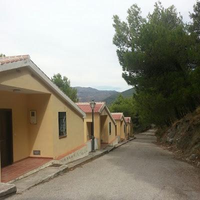 Cuando el silencio habla