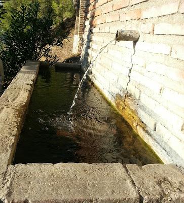 Cuando el silencio habla