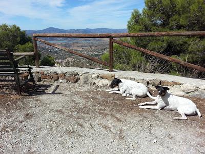 Cuando el silencio habla