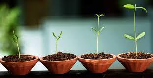 Todo lo que debes saber para hacer y monetizar un blog