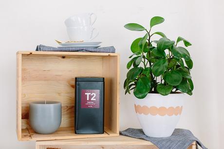 DIY: Unas macetas delicadas de terracota