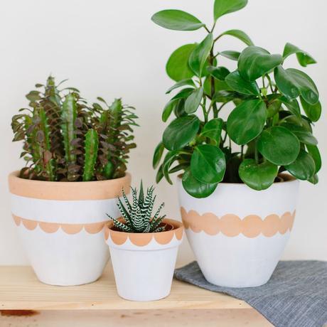 DIY: Unas macetas delicadas de terracota