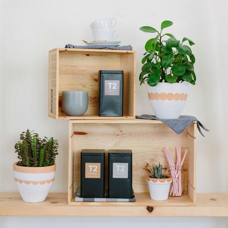 DIY: Unas macetas delicadas de terracota