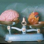 Analfabetismo emocional