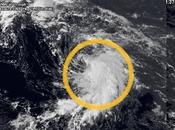 tormenta tropical "Ida" forma Atlántico representa peligro