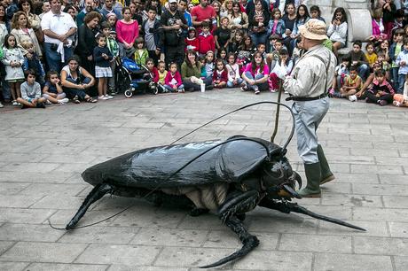 Big Bugs, MAF Santander