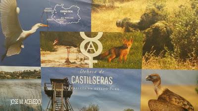 Es tiempo de berrea del ciervo en Castilseras