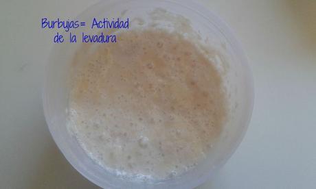 20150920_142529_picmonkeyed